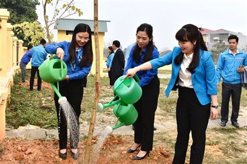 Tuyên Quang: Sôi nổi Ngày Thanh niên cùng hành động - Tết trồng cây đời đời nhớ ơn Bác Hồ năm 2023