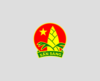 Quảng Nam: Tổ chức lớp học trên biển dành cho đội viên