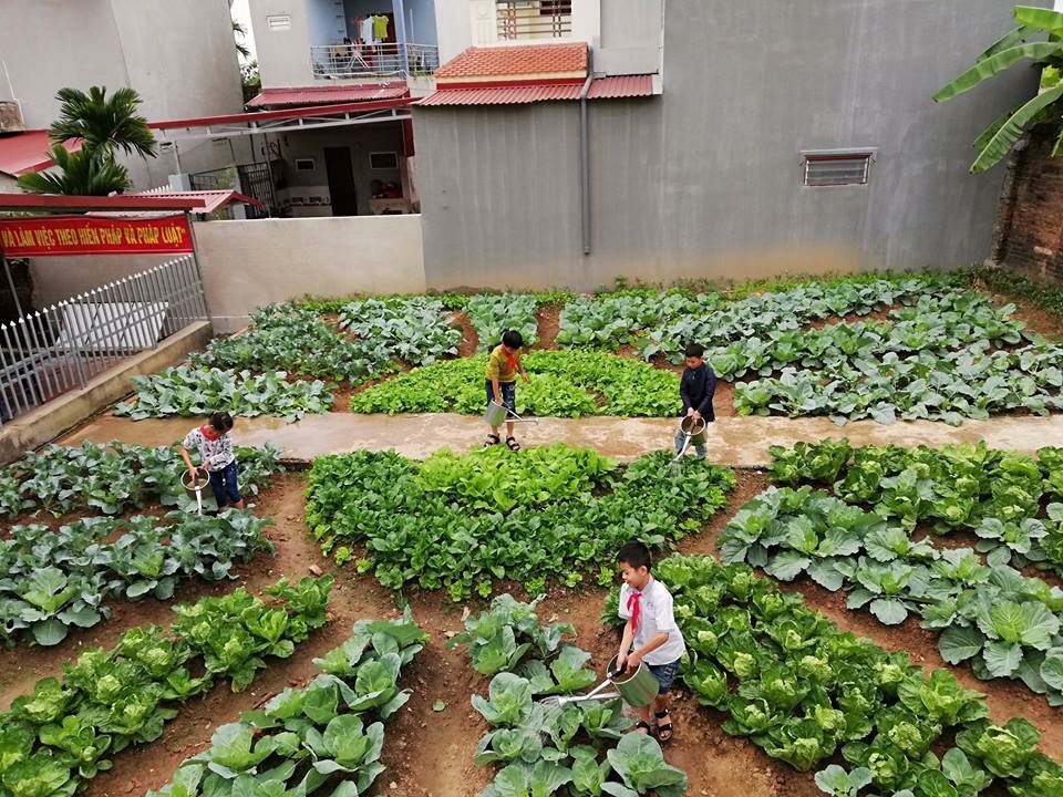 Bắc Giang: Hiệu quả mô hình Vườn rau em chăm